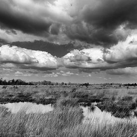 dutch sky van Hans Bronk