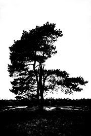 Njam njam njam auf der Heide von Jan van der Knaap