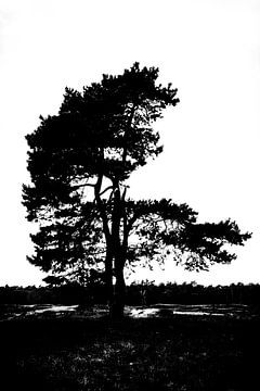 Njam njam njam auf der Heide