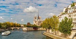 Paris Notre-Dame sur davis davis
