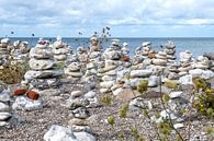 steenmannetjes aan de kust van Denemarken par Hanneke Luit Aperçu