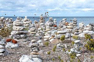 steenmannetjes aan de kust van Denemarken