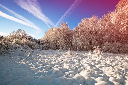 Winterlandschap
