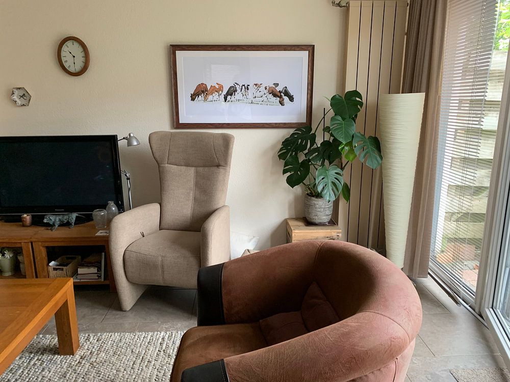 Cows in minimalist landscape by Color Square