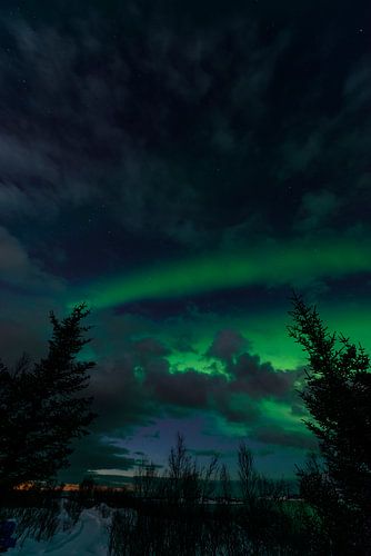 Noorderlicht in de nacht hemel boven Senja eiland