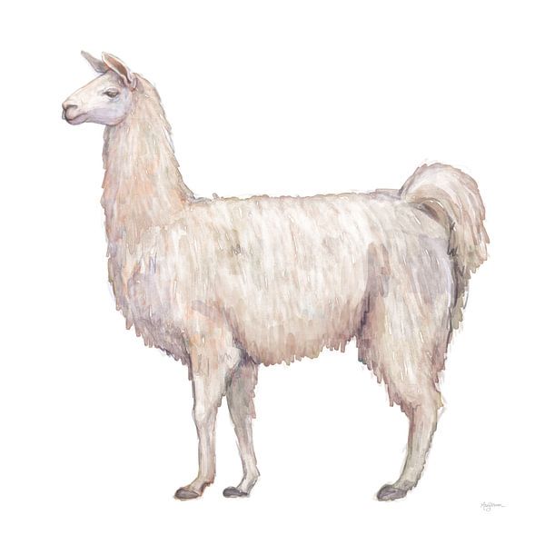 Bohemian Cactus Llama, Mary Urban by Wild Apple