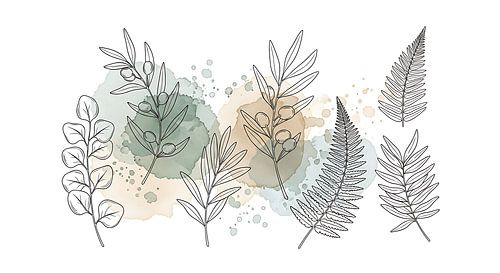 Botanische lijnkunst met aquarel