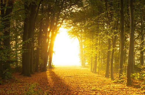 Landgoed Fraeylemaborg - Groningen (Nederland)