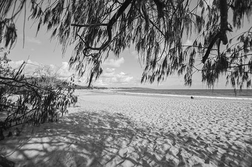 Early Morning Beach Life