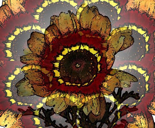 Gänseblümchen-Wahn