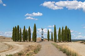 Cypress Ring at San Quirico d'Orcia by Jolanda van Eek en Ron de Jong