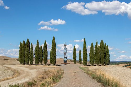 Cipressen Ring bij San Quirico d'Orcia