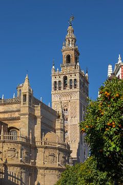 Sevilla, golden tower, plaza de espana, La Giralda , Andalucia, Spanje van Kim Willems