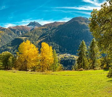 Farmhouse hamlet on an alpine meadow in the Inn valley, Sur En, Graubünden, Engadin, Switzerland, by Rene van der Meer