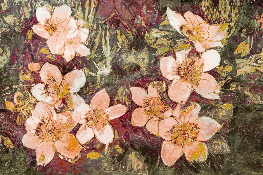 Dans van dotterbloemen