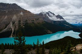 Peyto Lake - Canada by Yorin Schrader