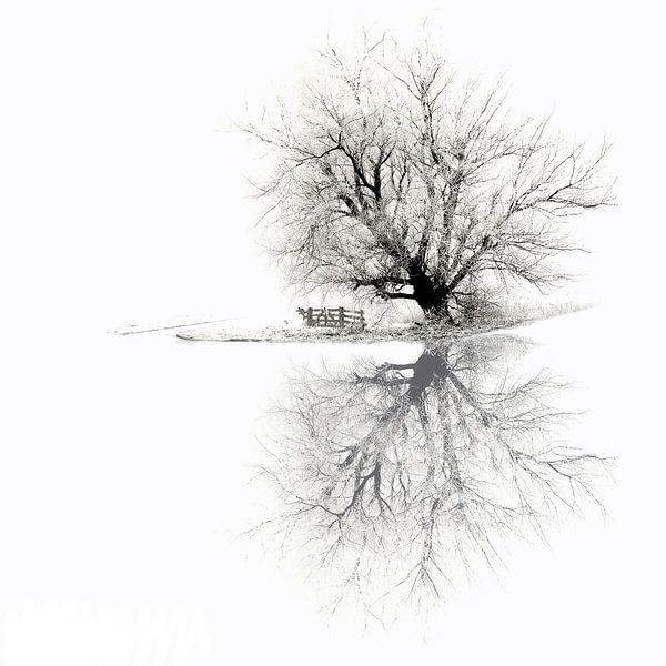 W I N T E R by Lars van de Goor