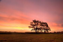 warmes Licht, warme Erinnerungen von sandra wauters