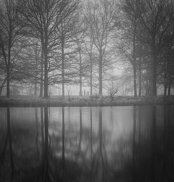 Ein Zaun zwischen den Bäumen in einer nebligen Landschaft von Anneke Hooijer