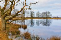 Moddergat in National Park Dwingelderveld by Henk Meijer Photography thumbnail