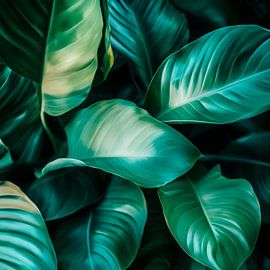 Grüne Blätter von Poster Art Shop