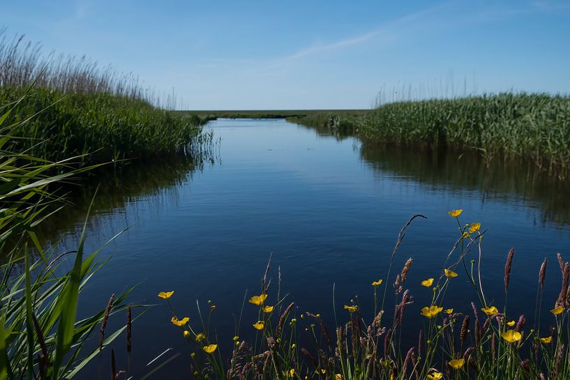 Graben zum Wattenmeer auf Terschelling von Mirjam Welleweerd