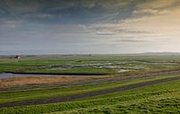 Polder landscape  by Hans Heemsbergen thumbnail