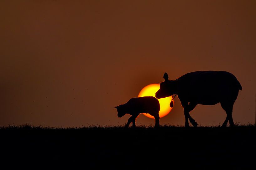 Sunset Silhouet van Kirsten Geerts