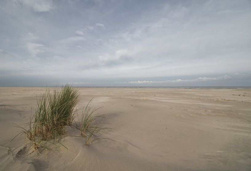Strand von Terschelling von Justin Bos