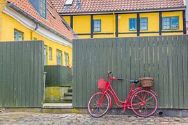 Red bike stands in front of a green fence in Ribe Denmark by Marc Venema
