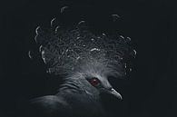 Crown pigeon portrait by Nienke Bot thumbnail