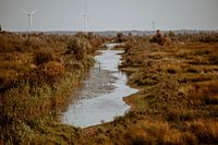 Tiengemeten - Hoeksche waard