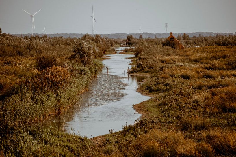 Tiengemeten - Hoeksche waard van Suzanne Fotografie