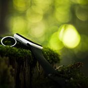 Visual van Dijk Profile picture