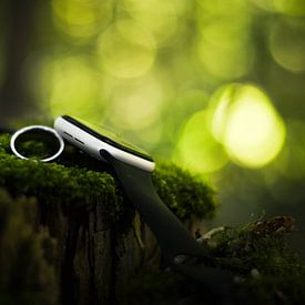 Visual van Dijk Profile picture