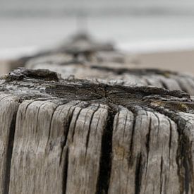 Beach posts (2) by Ellen de Roo