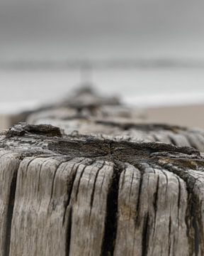 Beach posts (2)