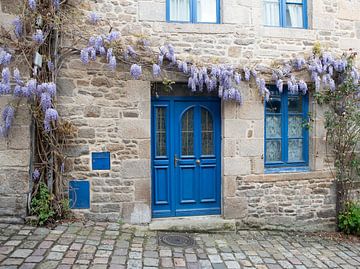 blauwe deur en ramen van een oud huis in frankrijk met bloemen van ChrisWillemsen