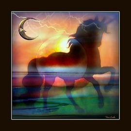 UNIKORN van Vera Laake