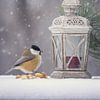 Winter Stilleven met Vogel - Koolmees bij Lantaarn van Joriali Fine Art