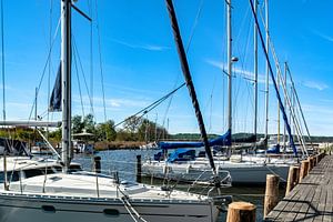 Segelschiffe im Hafen Seedorf bei Sellin, Rügen