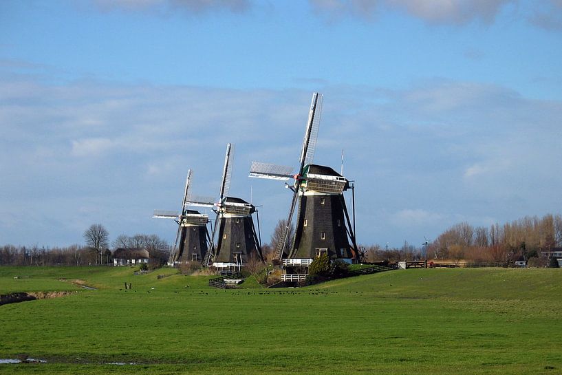 Drie molens by Anouk Davidse