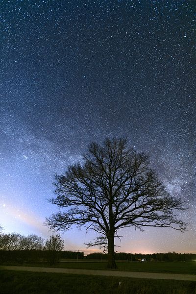 Clear calm night. Milky Way across the sky. by Yevgen Belich
