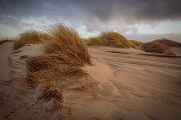 Dunes sur la côte sur Dirk van Egmond