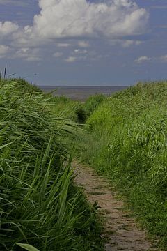 Zum Wattenmeer bei Westhoek Friesland von BSNF