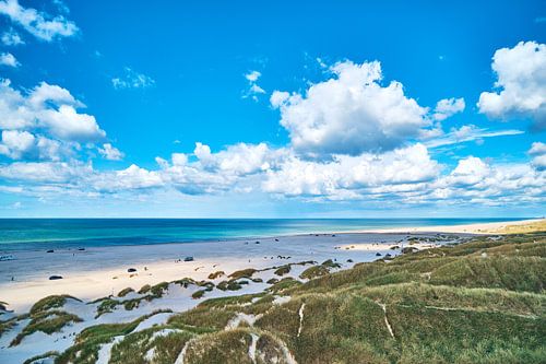Jammer Bay coastal landscape in Denmark