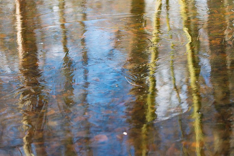 reflection in ice by Jeannette Kliebisch