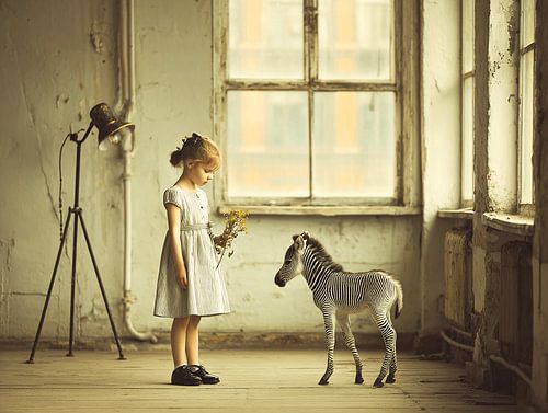 Amis pour toujours | Décoration murale pour chambre d'enfant avec zèbre