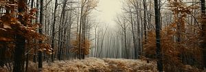 Spaziergang im Wald