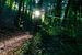 Zonsopkomst in het bos in Luxemburg van Jessica Lokker